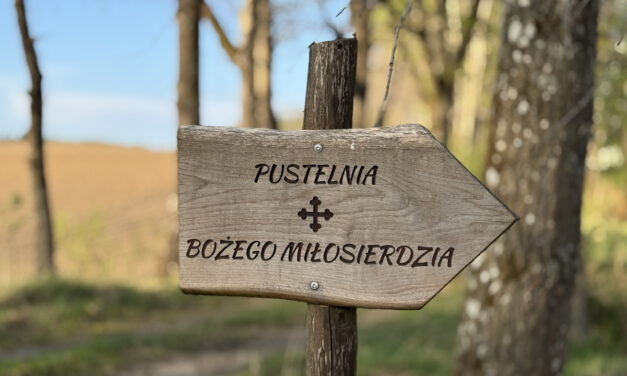 Pustelnie w naszej diecezji 